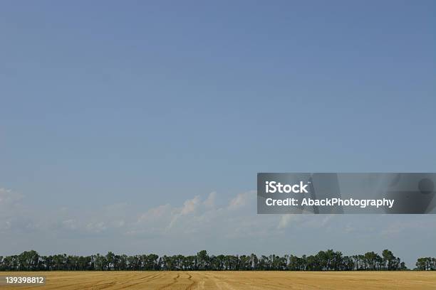 Big Sky Foto de stock y más banco de imágenes de Aire libre - Aire libre, Azul, Cielo