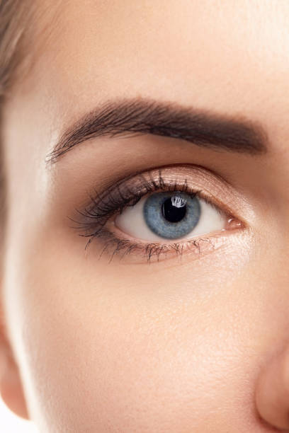 istock Female Eye with  Long Eyelashes. Eyelash Extensions. Makeup, Cosmetics, Beauty. Close up, Macro 1393989657