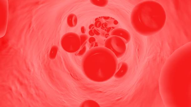 istock 3D rendering,Red blood cells flow in blood vessels 1393990758