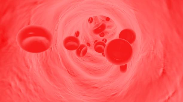 istock 3D rendering,Red blood cells flow in blood vessels 1393990830