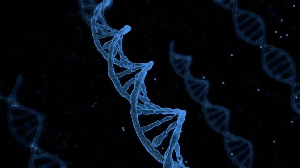 3D rendering ， Helical DNA structures 3D rendering ，Helical DNA structures helical stock pictures, royalty-free photos & images