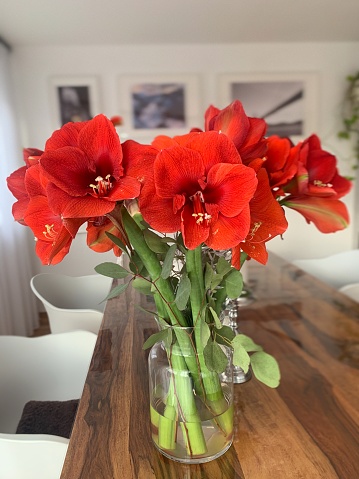 Romantik red flowers as decoration on the table