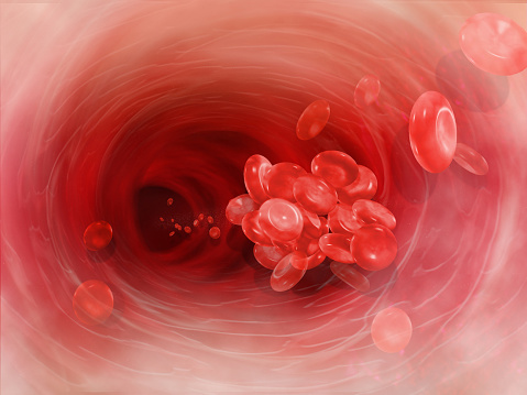 Arteria células del coágulo de sangre photo