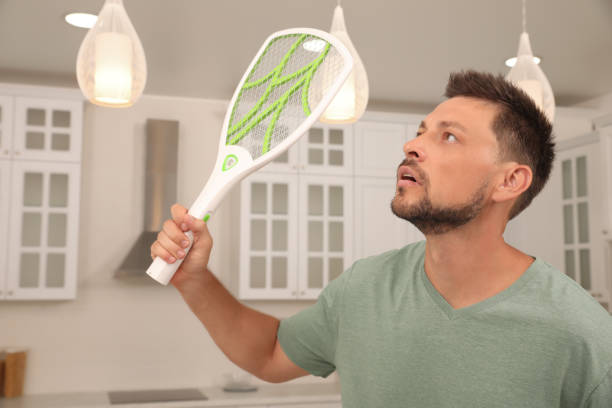 320+ Mosquito Racket Stock Photos, Pictures & Royalty-Free Images - iStock  | Fly swatter, Fly racket