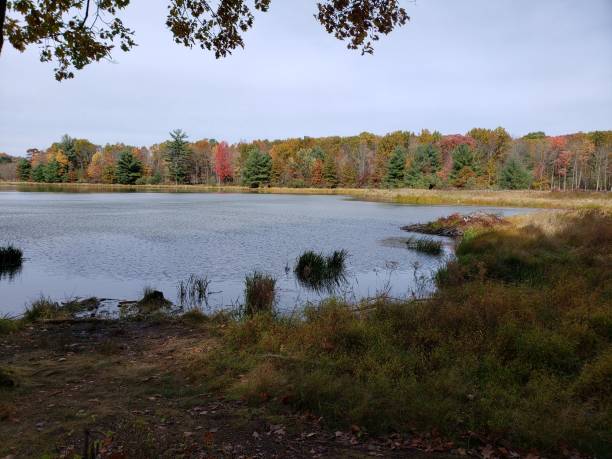 istock An Autumn Day Near a Pond 1393994650