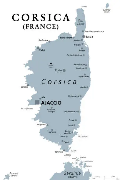 Vector illustration of Corsica, gray political map, French island north of Sardinia