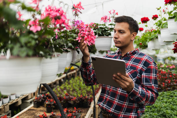 istock Modern technology in a flower greenhouse 1393994901
