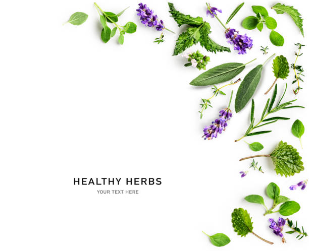 istock Rosemary, lavender, marjoram, sage and thyme composition 1393996559