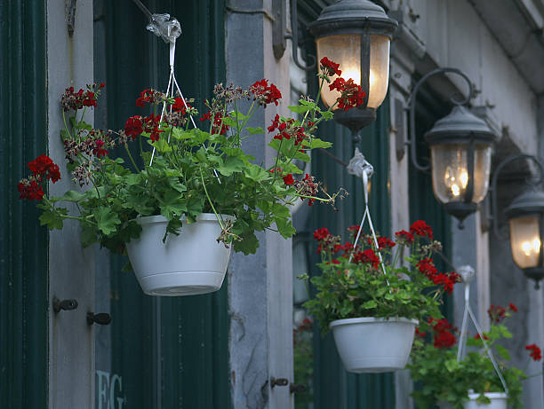 istock Montreal street scene 139399679