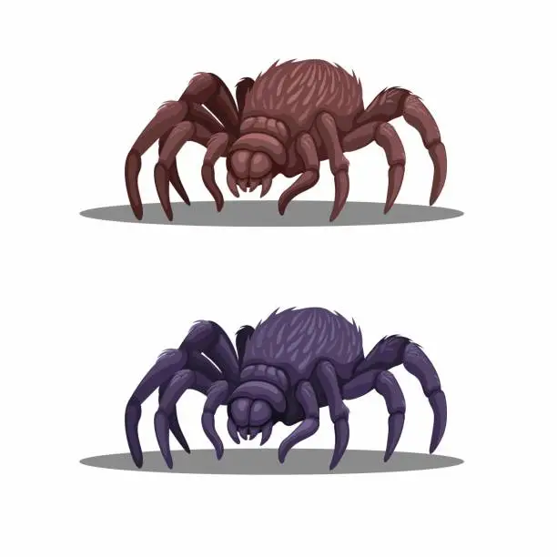Vector illustration of Tarantula or Giant Spider animal character in two color set illustration vector