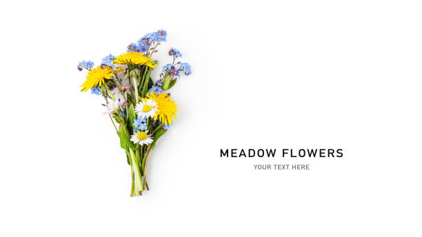 나를 잊지 마세요, 민들레와 데이지 꽃의 꽃다발. 어머니의 날 - dandelion wildflower field flower 뉴스 사진 이미지