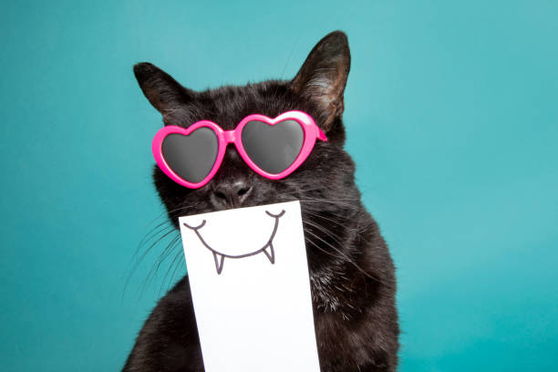 istock Funny Cat in Sunglasses With Paper Smile 1394000902