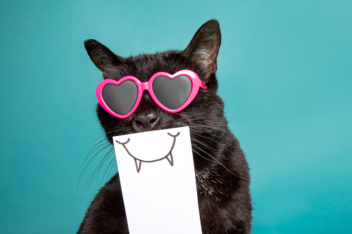 A funny black cat wearing sunglasses with a funny smile on paper over his face.