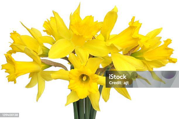 Narzissen Stockfoto und mehr Bilder von April - April, Blume, Blumenbouqet