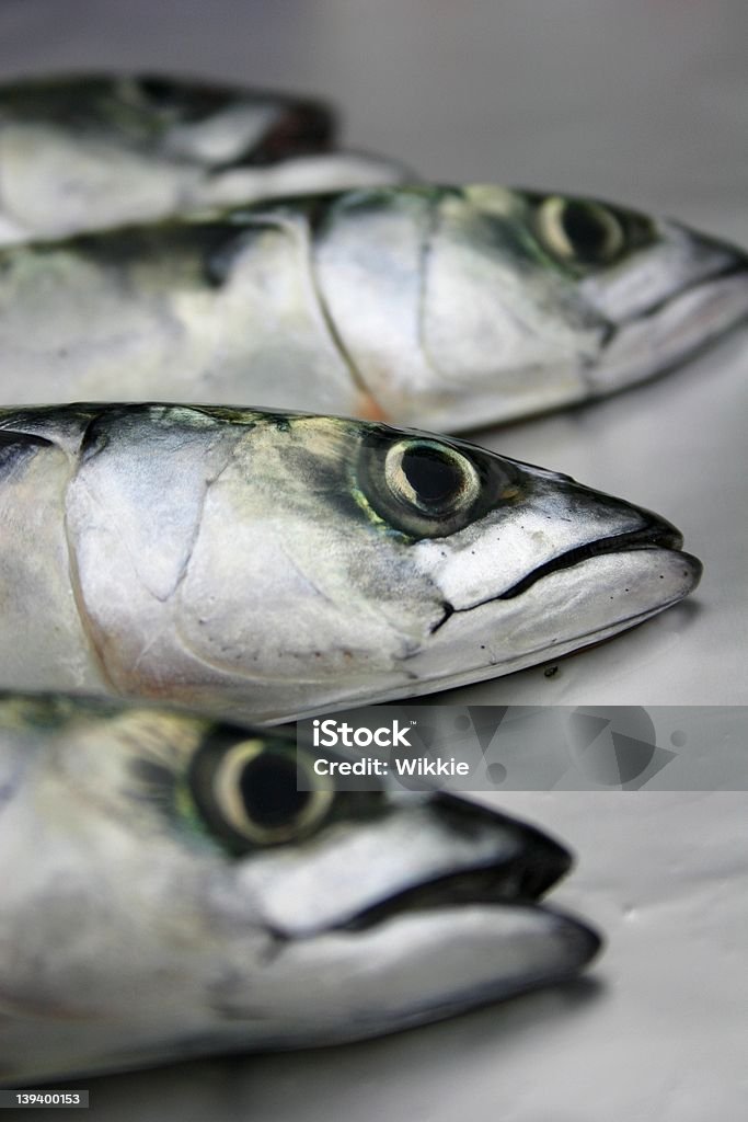 Pescados y mariscos frescos, pescado, sardines - Foto de stock de Alimento libre de derechos