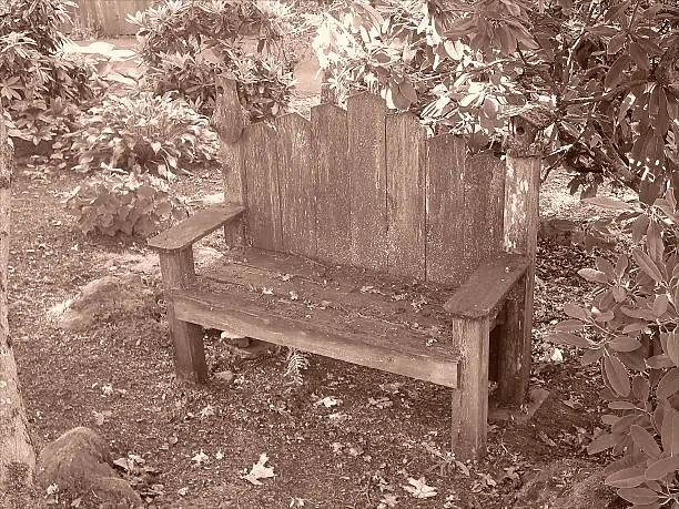 Photo of Rustic Bench