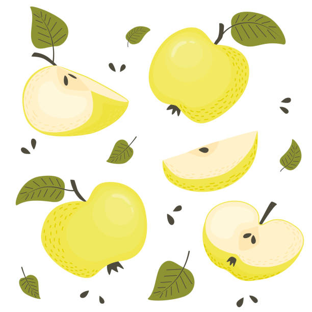 Yellow apples Set of green apples. Whole, sliced ​​apples, half an apple on a white background. Vector illustration in flat style. green apple slices stock illustrations
