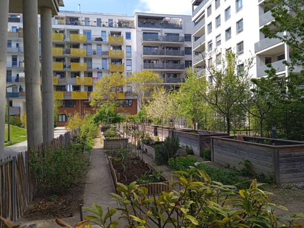 urban gardening in der stadt - inhabit stock-fotos und bilder