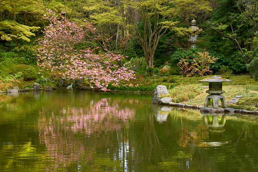 The Japanese Garden at Brooklyn's Botanical Garden in New York.