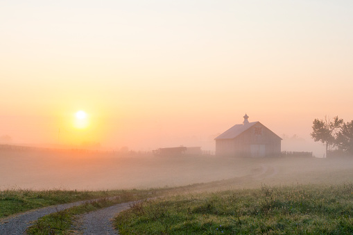 Sunrise on a family farm-with ground fog-Richmond Kentucky