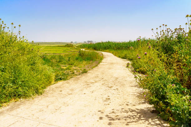 View of the Bethlehem stream promenade, in the Jezreel valley, Northern Israel