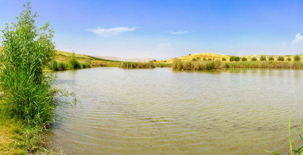 istock Lower Jordan River, in Morad HaYarden park 1394007729
