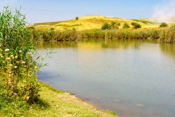 Lower Jordan River, in Morad HaYarden park