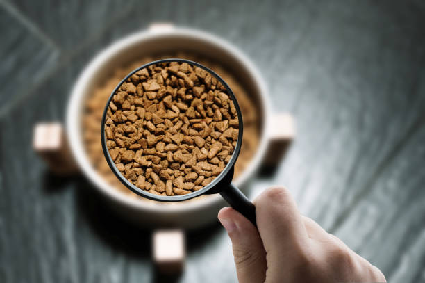 A magnifying glass focusing on cat or dog food