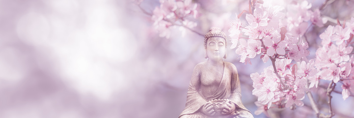 cerezo en flor alrededor de la estatua de Buda sobre el fondo de primavera borroso y soleado, escena idílica de la naturaleza en sunhine, concepto de banner web con espacio de copia photo