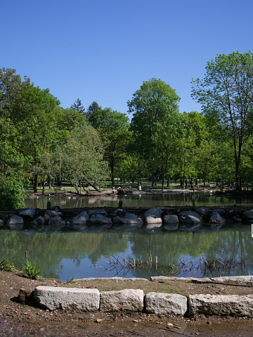 Park in spring