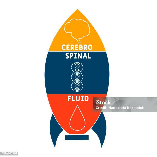 Csf Catoon Csf Cerebrospinal Fluid Acronym Stock Illustration - Download Image Now ...
