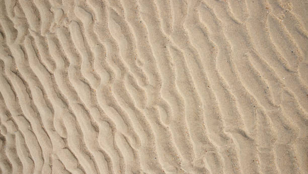 istock texture of beach sand background 1394010575