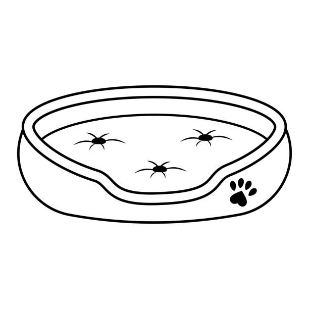 ilustrações de stock, clip art, desenhos animados e ícones de bed for dogs and cats, isolated vector illustration contour doodle - animal domestic cat basket kitten