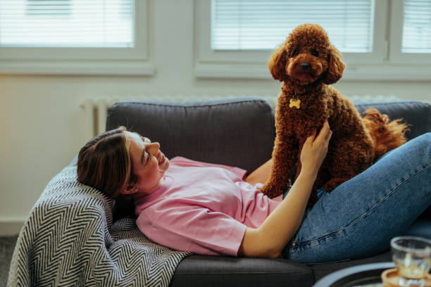 istock Young woman holding puppy on her lap 1394012930