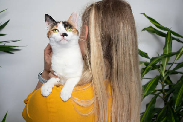 istock young blond woman carrying her cat on shoulder 1394013888