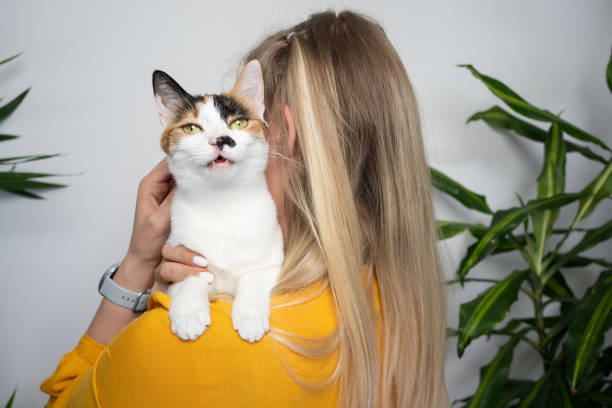 istock young blond woman carrying her cat on shoulder 1394014408