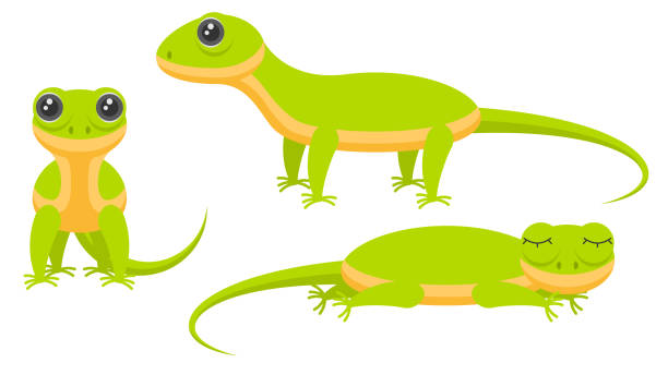 Lizard Cartoon Stock Photos, Pictures & Royalty-Free Images - iStock