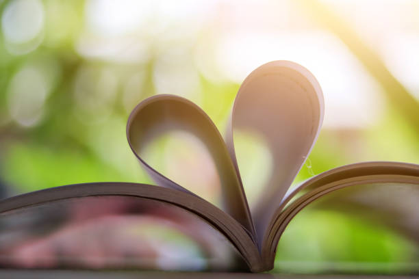 istock The book opens, and the book page Hrolls into the heart colorful background selective focus and with a very shallow depth of field 1394018070