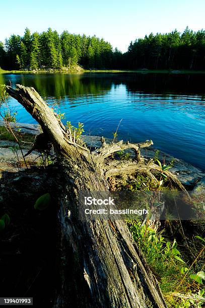 Lago Ondasname - Fotografias de stock e mais imagens de Amanhecer - Amanhecer, Ao Ar Livre, Canadá