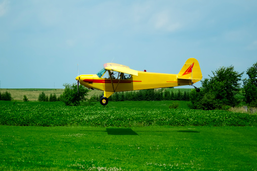 A Piper PA-18 Super Cub landing in a rural airfield. Resub with 'cub' logo removed.