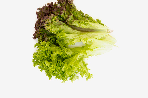 Fresh green lettuce isolated on a white
