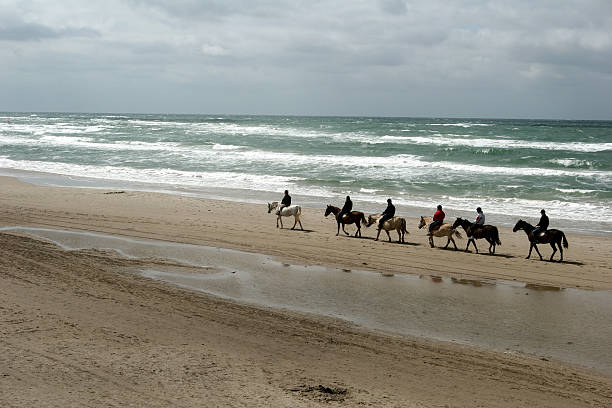 equine пляж - trail ride стоковые фото и изображения