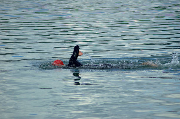 Triathalon swimmer stock photo