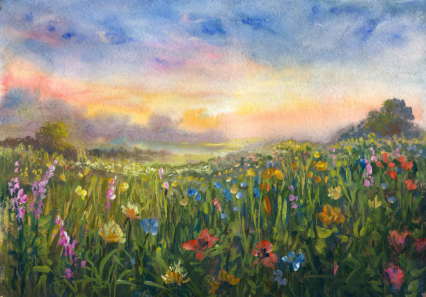 padang rumput musim panas, impresionisme lukisan cat air - twilight painting ilustrasi stok