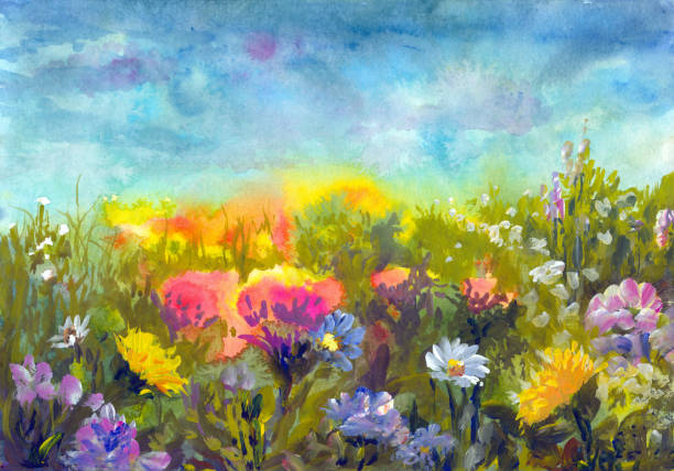 sommerwiese, aquarellmalerei impressionismus - oil painting illustrations stock-grafiken, -clipart, -cartoons und -symbole