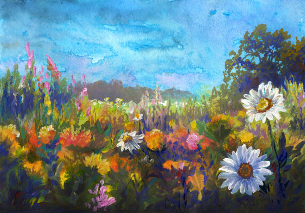 sommerwiese, aquarellmalerei impressionismus - dandelion wildflower field flower stock-grafiken, -clipart, -cartoons und -symbole