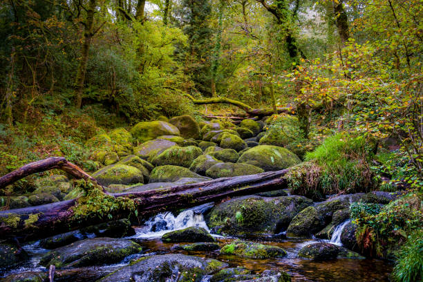 istock Becky Falls in Autumn 1394023088