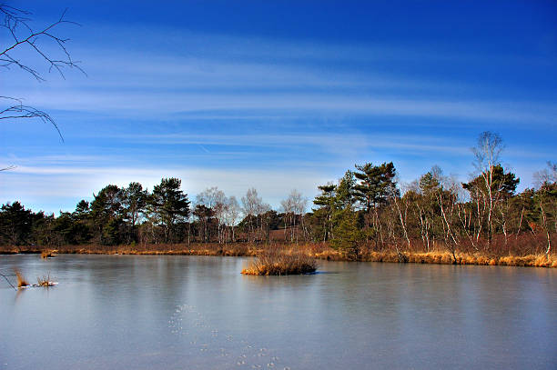 istock Landscape with pond. 139402496