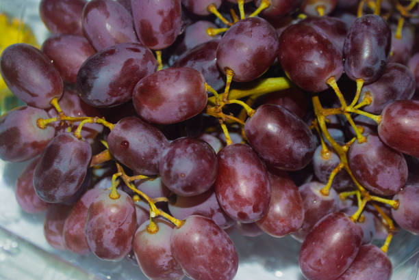 Bunch of red grape fruit