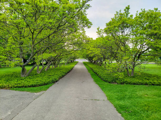 istock Green Nature 1394025899